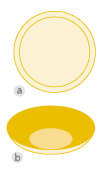 EVOLVE    width=