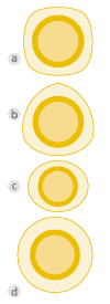EQUATION    width=
