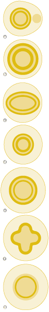 ORBE    width=