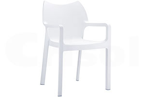 Sill&oacute;n Dionisio