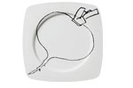PLATO AUTOR NAB