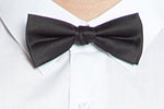 Pajarita BOW