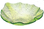 BOT&Aacute;NICA
