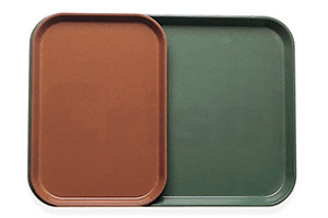 BANDEJAS CAMTRAYS&reg;