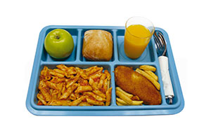 Bandeja colegios rect.