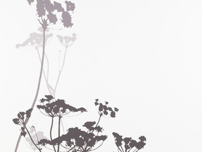 Tableros Estraticompact