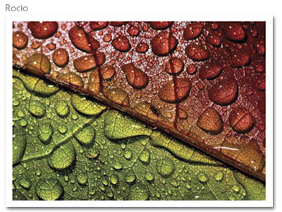 Mantelines Offset impresos