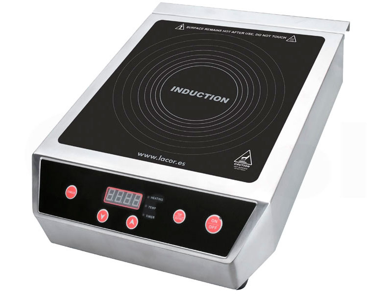 Placa Inducción Profesional