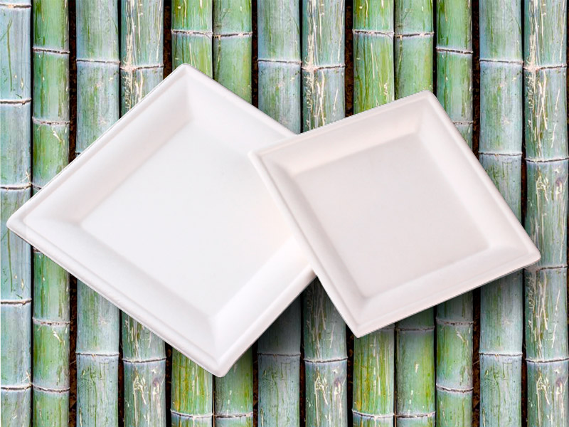 Platos cuadrados fibra de caña