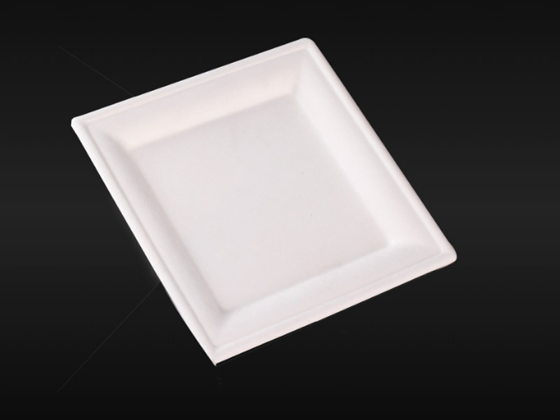 Platos cuadrados fibra de caña
