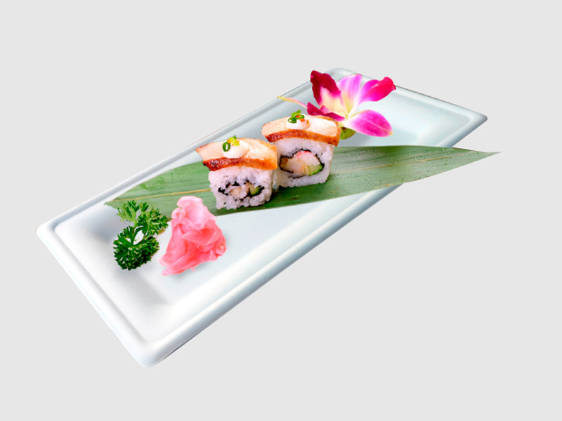 Platos cuadrados fibra de caña