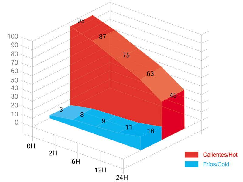 Gráfico de temperatura Jarra termo LUXE
