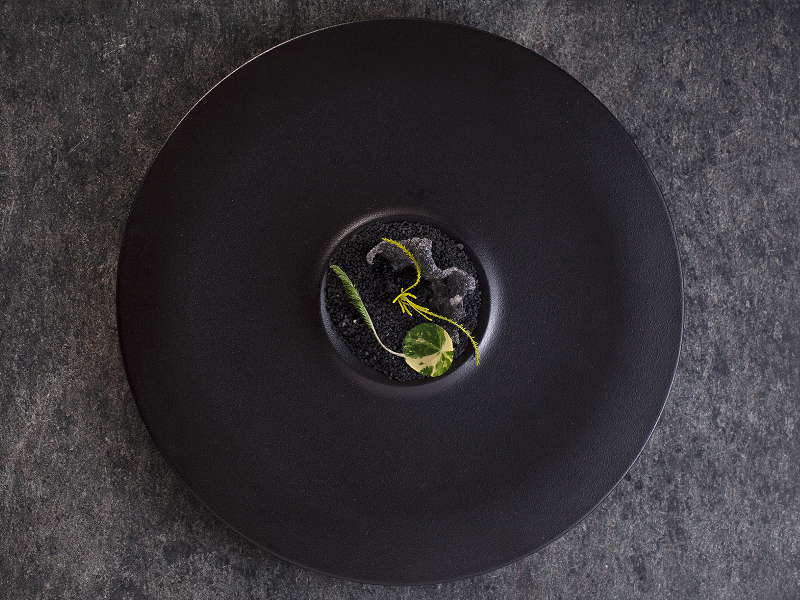 NEOFUSION Plato extra hondo