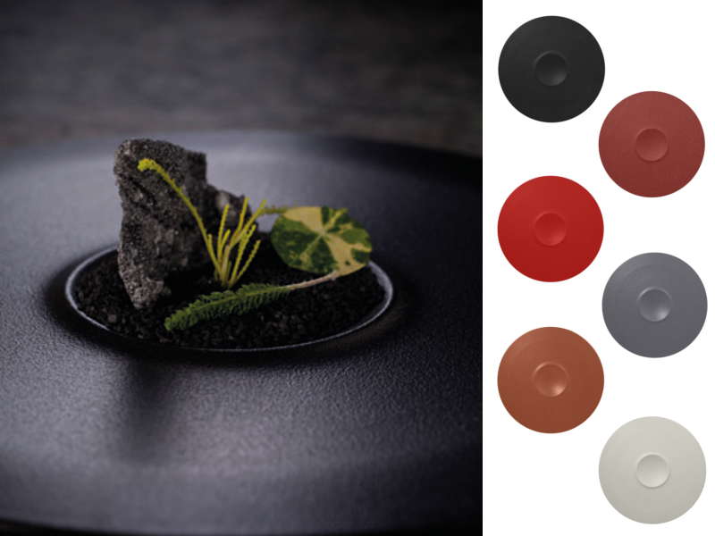 NEOFUSION Plato extra hondo