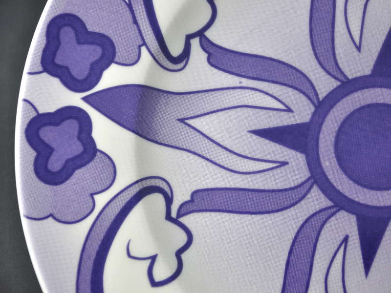 Plato presentación Zila Sol