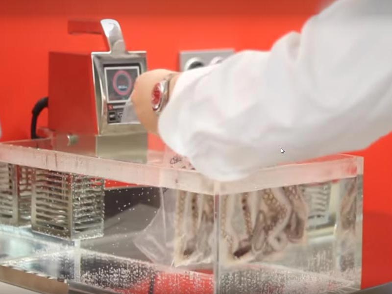 Cocedor Portátil SVP