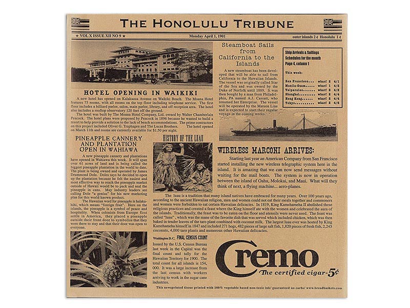 Papel antigrasas tissue liner periódicos