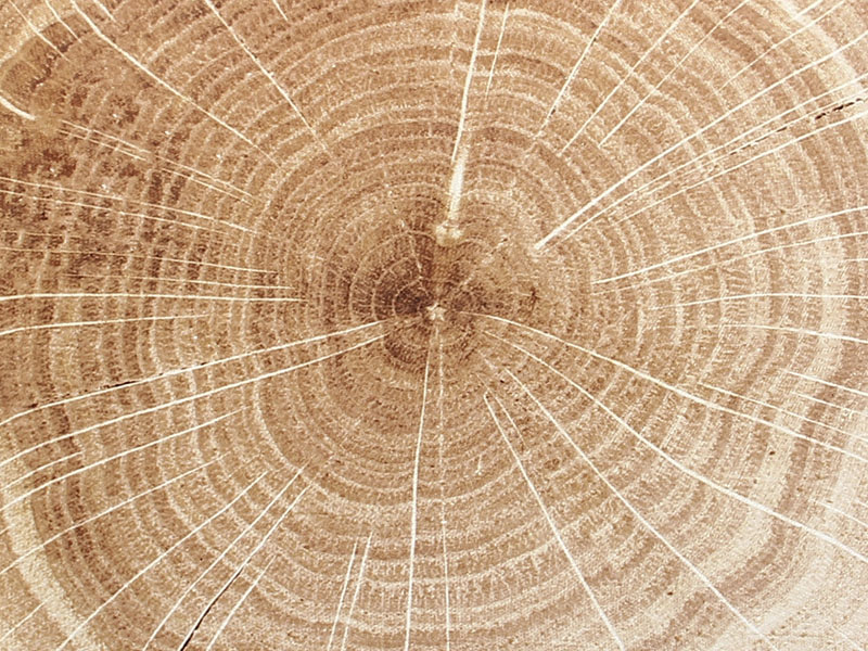 WoodArt Timber Brown