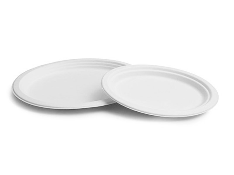 Plato de caña de azúcar