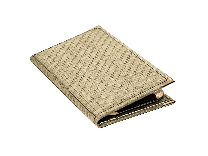 Bandeja cambio Paglia