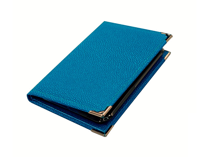 Bandeja cambio Cobra