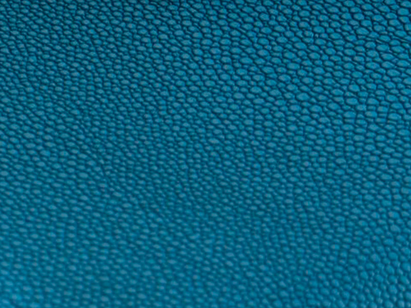 Carta men&uacute; Cobra