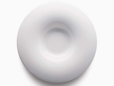 Plato Aro 26,6