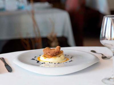 Plato Raia