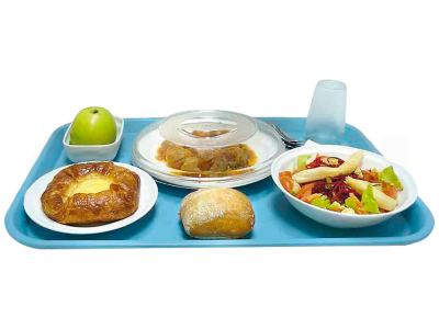 Bandeja autoservicio EN 1/1