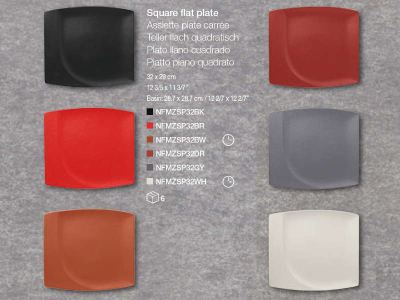 Plato cuadrado Mazza NEOFUSION