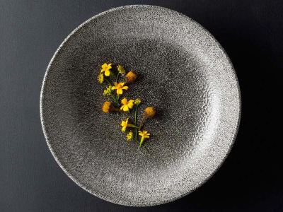 Raku Quartz Black