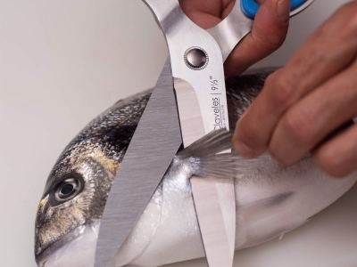 Tijera Cocina/Pescado Lager
