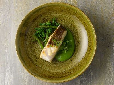Stonecast Plume Olive