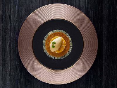 Metalfusion Bronze