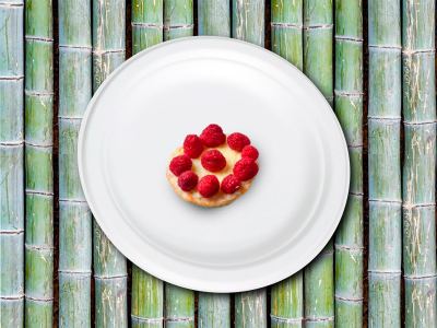 Platos fibra de caña