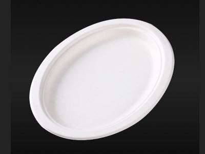 Platos fibra de caña