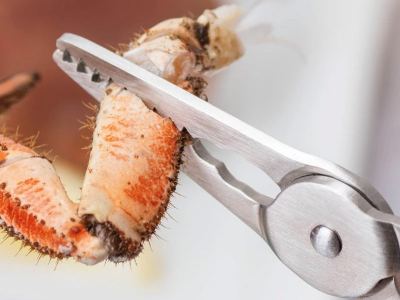 Pinza pequeños mariscos