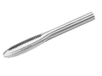 Escamador inox