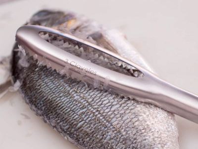 Escamador inox