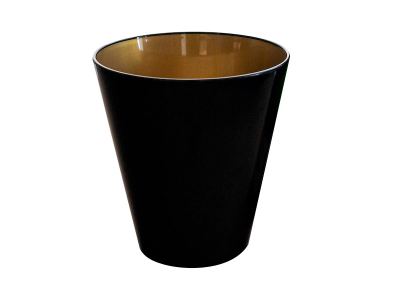 Cubitera bicolor PS