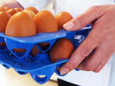 Portahuevos hermético GN 2/3