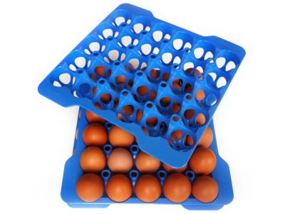 Portahuevos hermético GN 2/3