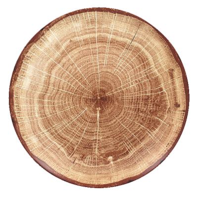 WoodArt