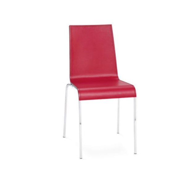 Silla Phenix