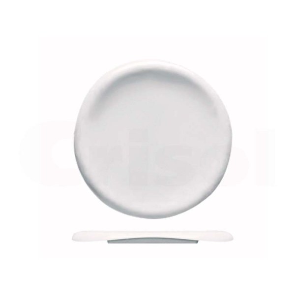 Plato Raia
