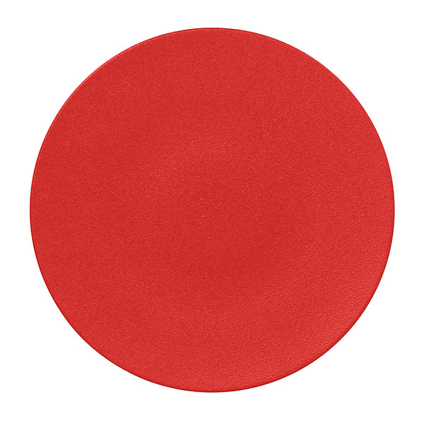 Plato llano Cilantro EMBER